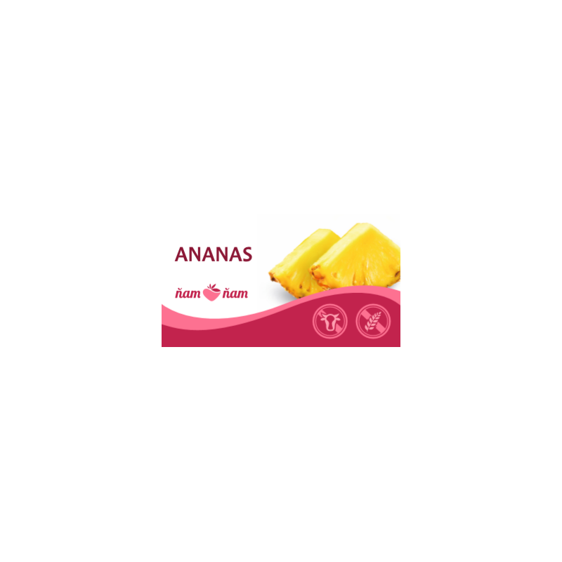 ZM Sorbet Ananas 2,5l