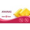 ZM Sorbet Ananas 2,5l