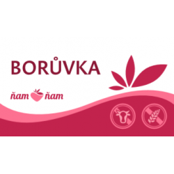 ZM Sorbet Borůvka 2,5l