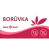 ZM Sorbet Borůvka 2,5l
