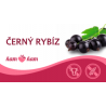 ZM Sorbet Černý rybíz 2,5l