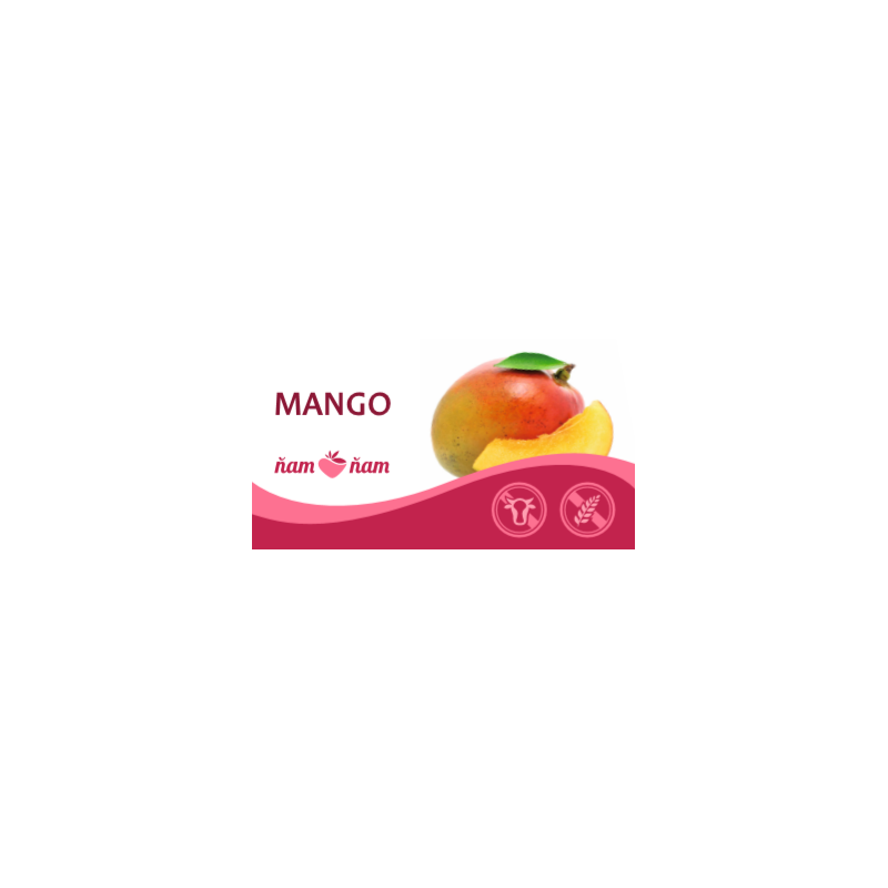 ZM Sorbet Mango 2,5l