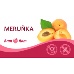 ZM Sorbet Meruňka 2,5l