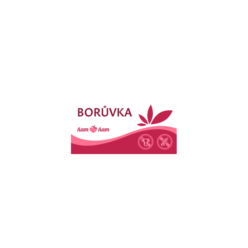 ZM SORBET BORŮVKA 4,75l