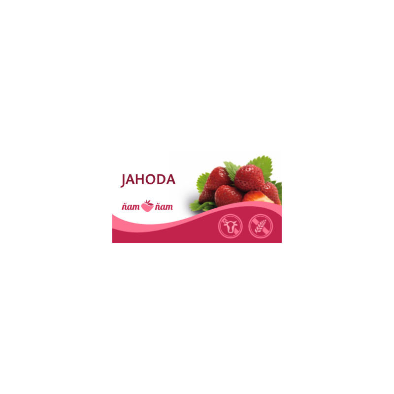 ZM SORBET JAHODA 4,75l