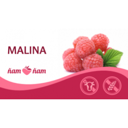ZM Sorbet Malina 2,5l
